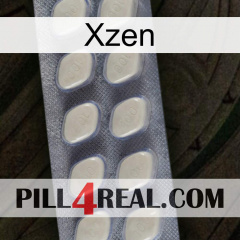 Xzen 08